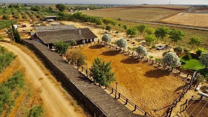 Escuela Hipica la Ponderosa en Carmona