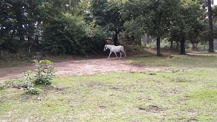 A Lagoa en Marín