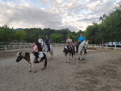 Club Hípico Valle del Tietar en Piedralaves