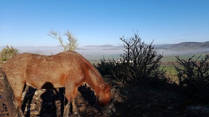 Hípica Biki Blasco en Aranguren