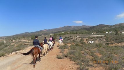 Horse Riding Tenerife - Paseos a Caballo Tenerife en Arona