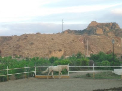 Escuela Ecuestre en Guadix