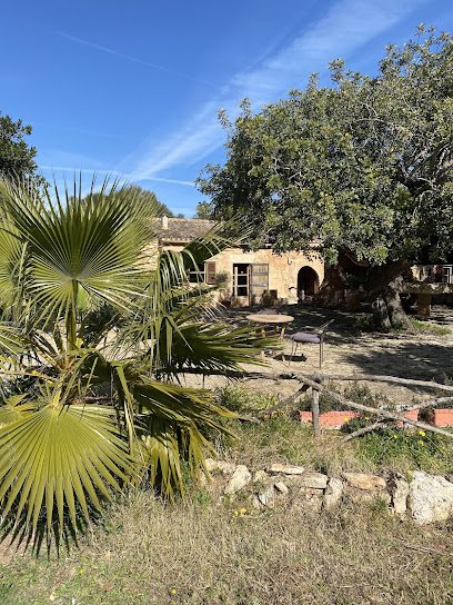 Finca Libertad - Reiten Mallorca en Es Llombards