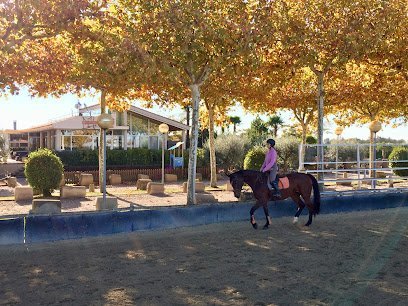 Hípica Champion Horse en Alpicat