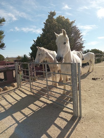 Trex Andalucia en Turre