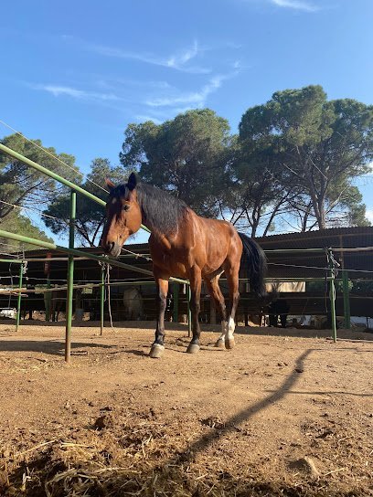 Club Hípic La Quaranya en L'Ametlla del Vallès