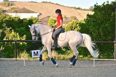 SCHOOL OF DRESSAGE SOTOGRANDE en San Enrique de Guadiaro