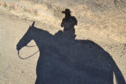 EQUINOEDUCA Rutas a Caballo por el Parque Natural del Turia en Vilamarxant