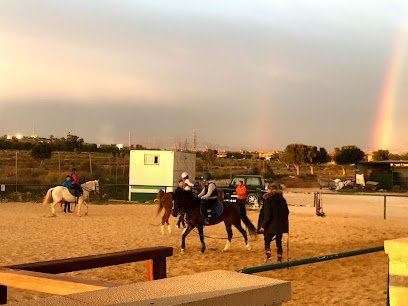 JTC Equus en Alicante