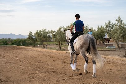 Hípica Juan Antonio Ramirez en Las Gabias