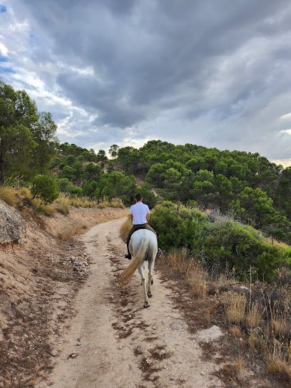 Hípica la Herradura en Albalate de Zorita