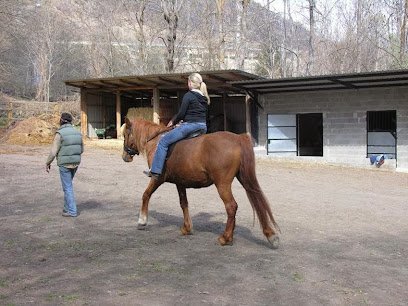 Cavalls Xic en Esterri d'Àneu