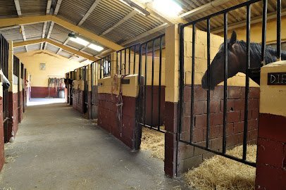 Club Hípico La Hijosa en Cabezón de Pisuerga