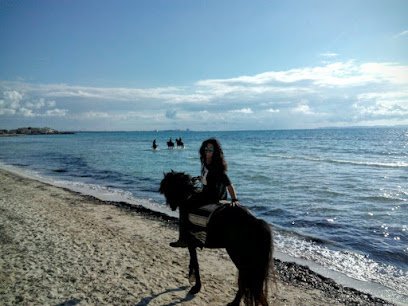 Reiten Mallorca en Es Llombards