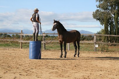 Escuela del Caballo en Tonyá