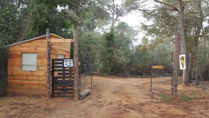 Cavall de Troya en Vall-llobrega