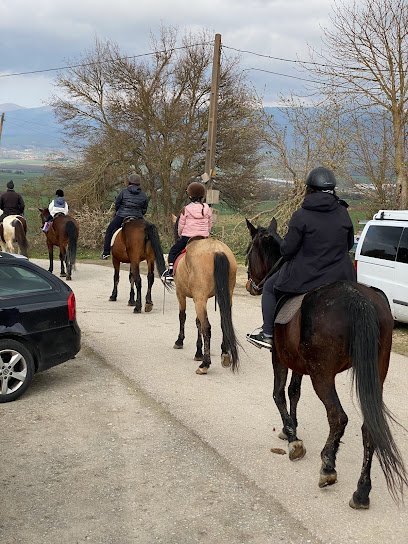 Caballerizas Bikuña en Vicuña