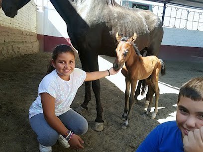 Centro Equinoterapia Mi Segunda Escuela en Málaga