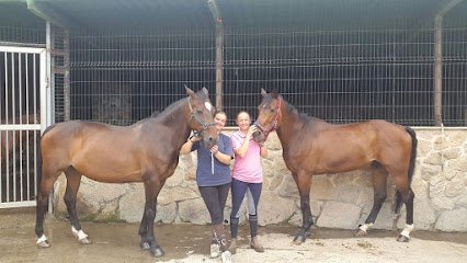 Escuela de equitación y equinoterapia Abrain en Gondomar