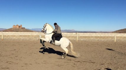 Equitación y Doma Miguel en La Calahorra