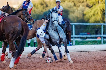 Club Horseball Banyoles en Banyoles