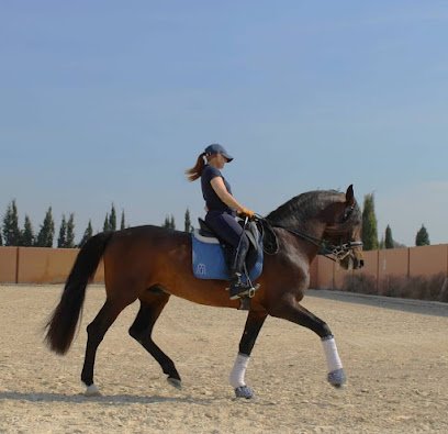 Club Hípico Dos Hermanas Mateo en Orihuela