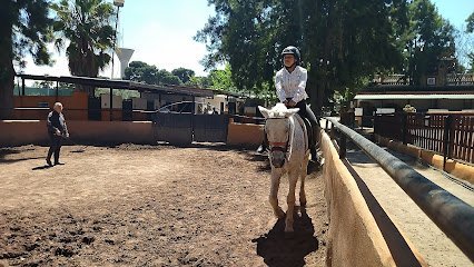 CENTRO ECUESTRE CORTIJO SANTANA en Albal