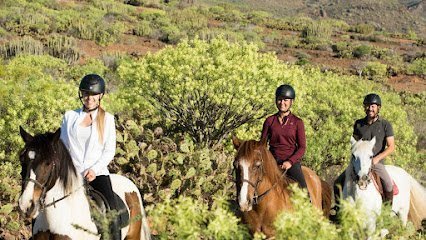 El Salobre Horse Riding en El Salobre