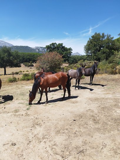 Grazalema a caballo en Grazalema