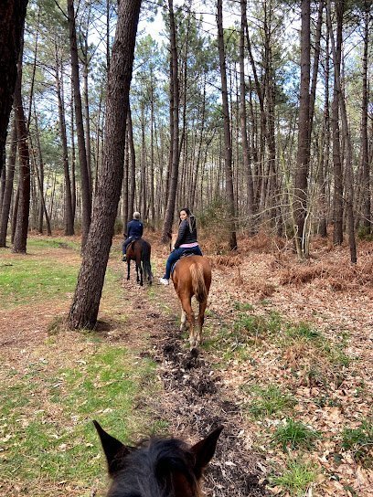 Aventuras a caballo en Lamuño