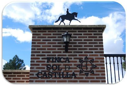 Yeguada Sol de Castilla en Tiñosillos