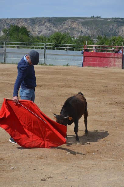 Hípica Zahori en Falces