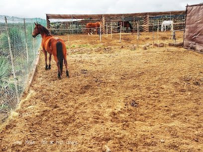 Centro Hípico Lomo Salas en Telde
