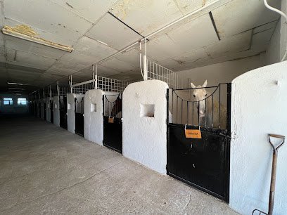 Hípica El Corcel en Arroyomolinos