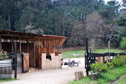 Centro ecuestre As Leiras en Bergondo