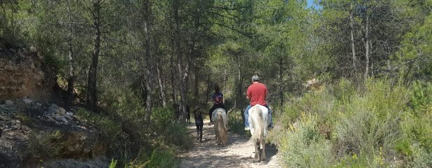 Club Hipico Maigmo Alicante en Tibi