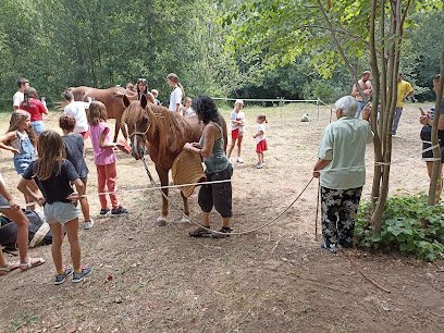 Caballos de Ailanes en Ailanes