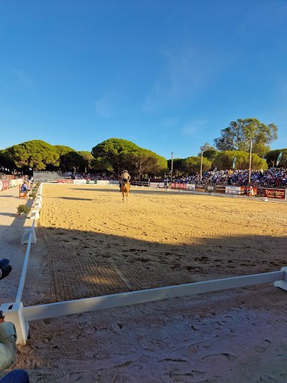Club Aros en Murcia