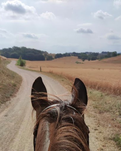 L'Escut Cavalls en Cartellá