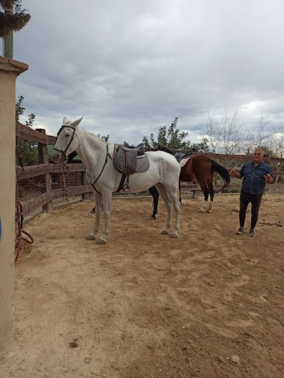 Finca La Constancia en Murcia