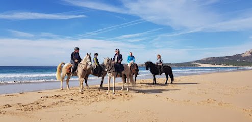 Rutas a Caballo en Cádiz y Andalucía TrekAndalus en Los Barrios