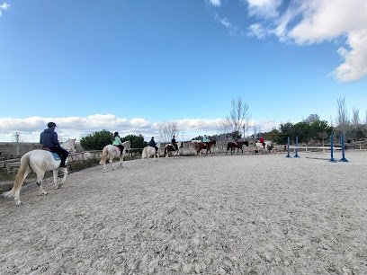 Club Ecuestre del Valle en Brunete