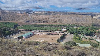 Centro Hípico Equus Gran Canaria en Telde