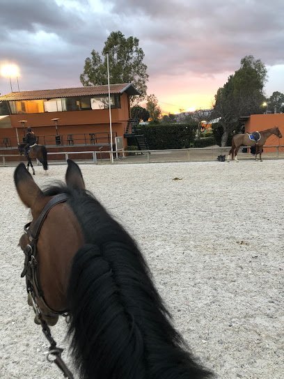 Open sports club en El Prat de Llobregat