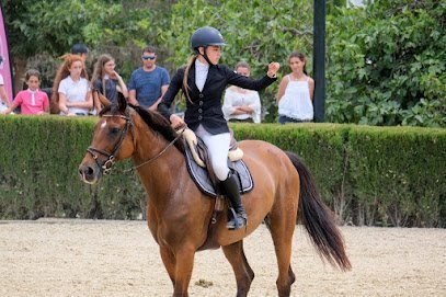 Federación Hípica Illes Balears en Palma