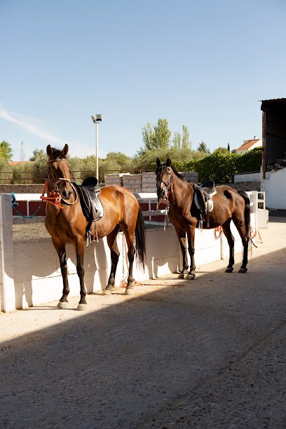 Hípica los Jarales en Campo Real