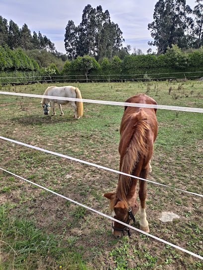 Club De Hípica Quilmand en Sada