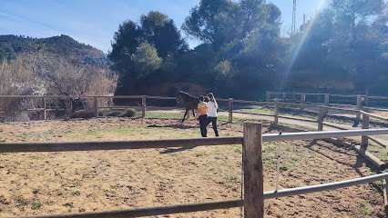 Hípica Terapéutica Casa Bauma en Castellbell y Vilar