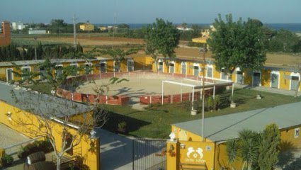 Centro Hípico Benicarló en Benicarló