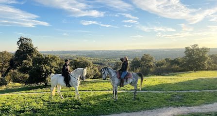 Finca Brillo de Luna en Madrid